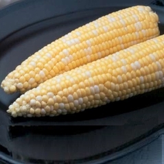 Sweet Corn (Ambrosia)