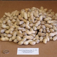 Peanuts in the Shell
