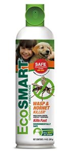 Eco smart organic wasp hornet killer in aerosol container