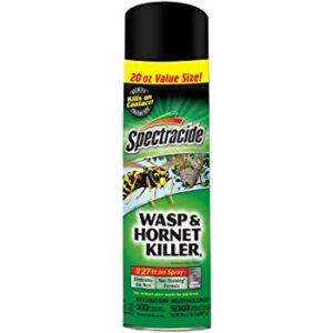 spectracide wasp and hornet killer in aerosol can