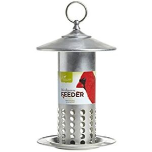 Photo of Mealworm Feeder in metal with holes along bottom half, and label across center with red cardinal on right side.