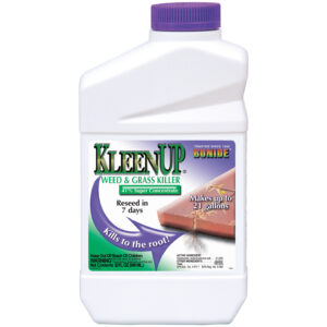 kleenup weed and grass killer in large bottle