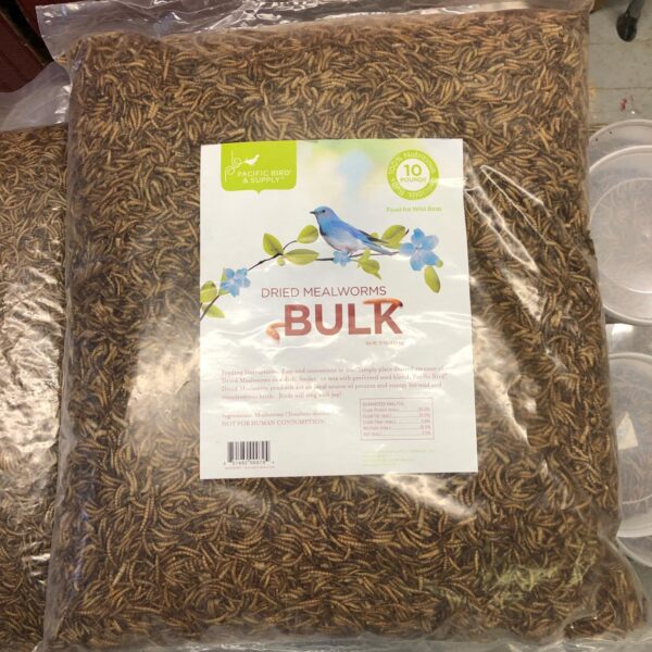Bulk bag of dried mealworms.