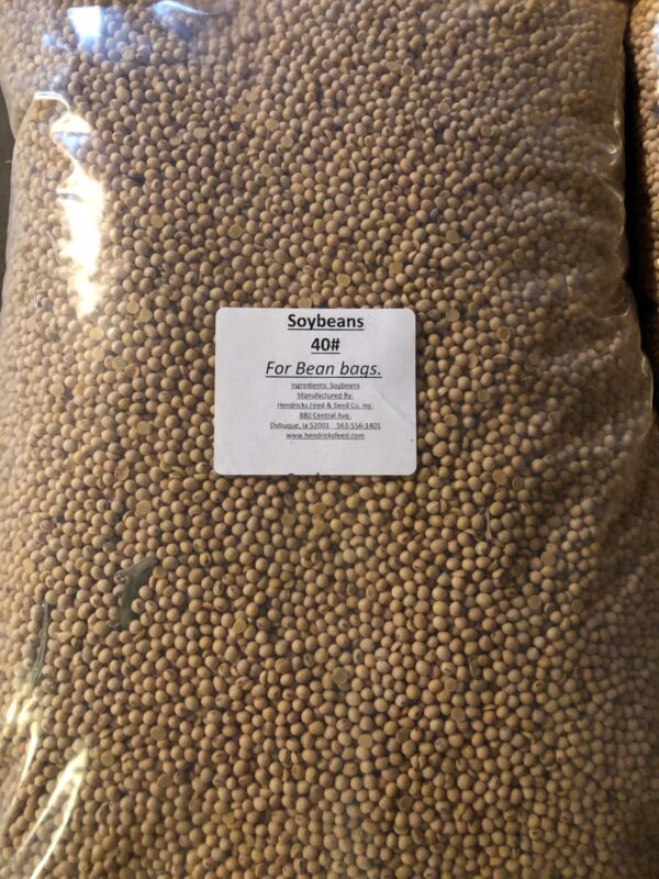 Soybeans for Bean Bags in large clear bag.