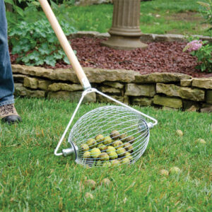 Nut Wizard - small, is basket that spins attached to wooden handle. Picks up those green nuts in the yard that fall from the trees.