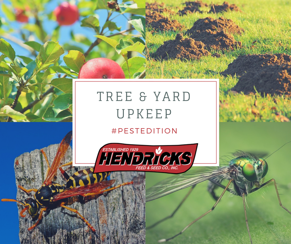 fruit tree spray, wasp and hornet killer, mole killer, and other pest control is available at Hendricks in Iowa
