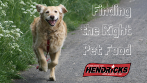 Let us help you find the right pet food for your Iowa pet